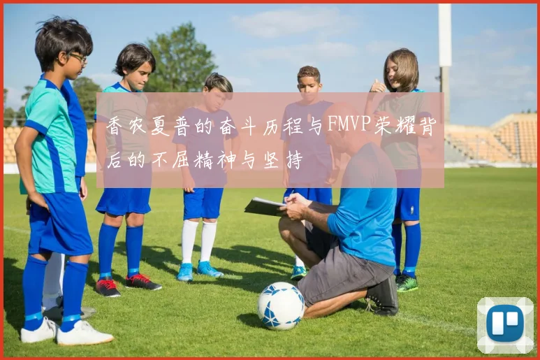 香农夏普的奋斗历程与FMVP荣耀背后的不屈精神与坚持