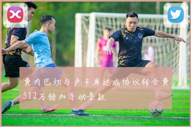 费内巴切与卢卡库达成协议转会费512万镑加浮动条款